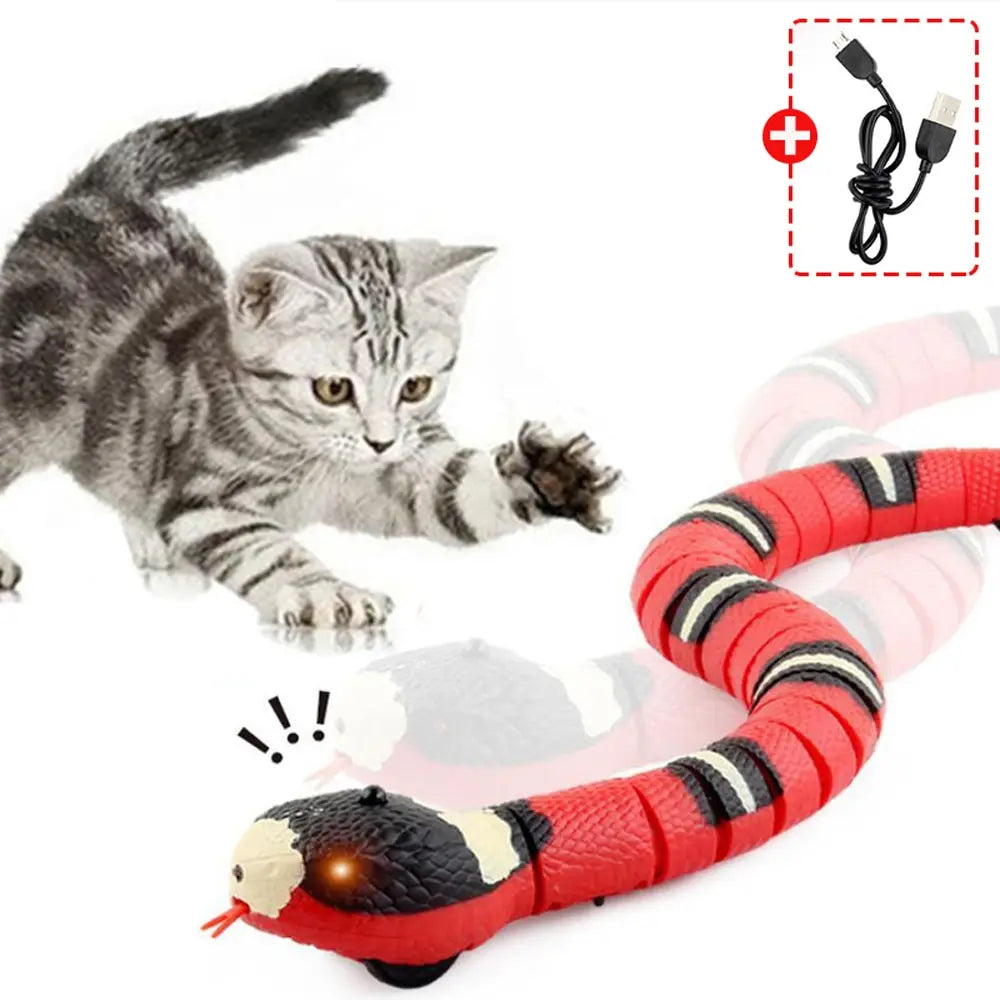 Cat Interactive Snake Toy